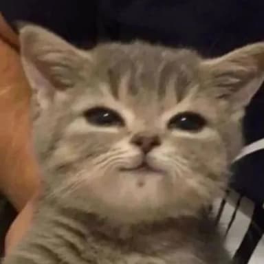 Маргарита