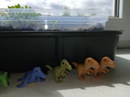 Kinder natoons (динозаври) фото 2