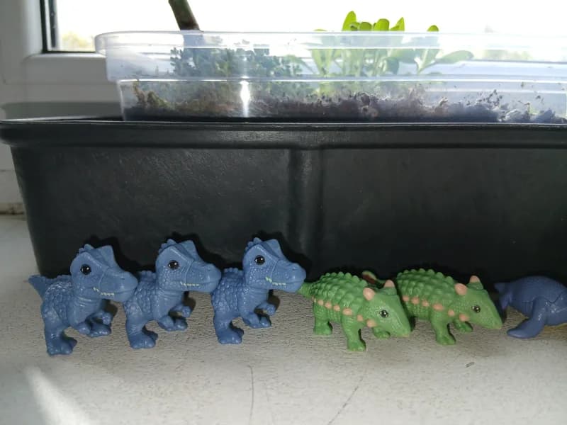 Kinder natoons (динозаври)