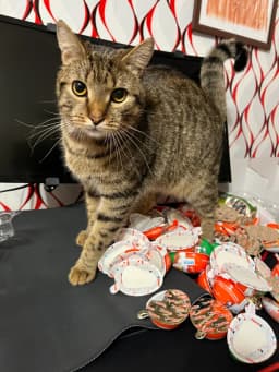 Kinder Joy Minecraft 👾 фото 3